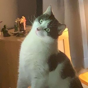 Meet your Posher, Yasmine